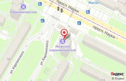 Магазин алкогольной продукции на улице Карпинского на карте