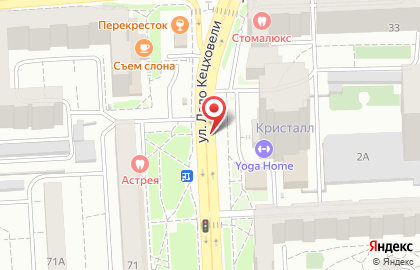 Оптово-розничный склад-магазин цветов ДэлаФлора на улице Ладо Кецховели на карте
