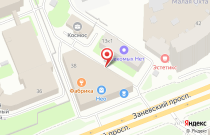 Ателье по Ремонту Одежды на Заневском проспекте на карте