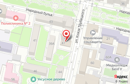 Банкомат БИНБАНК на улице Князя Трубецкого на карте