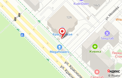Супермаркет цифровой и бытовой техники DNS на улице Краснолесья на карте