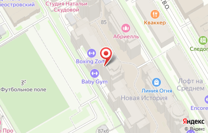 Утепление лоджии Василеостровский район на карте