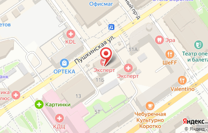 Лабораторная служба Helix на Пушкинской улице на карте