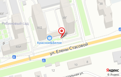 Фруктовая лавка на улице Елены Стасовой на карте