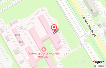 Автозаводский психоневрологический интернат на Космической улице на карте