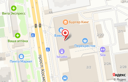 Ювелирный магазин Серебряный слонъ на проспекте Космонавтов на карте
