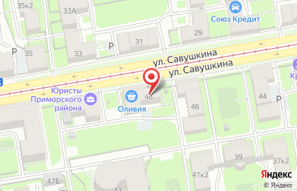 Карекс на улице Савушкина на карте