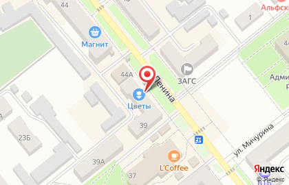 Салон Мир цветов на улице Ленина на карте