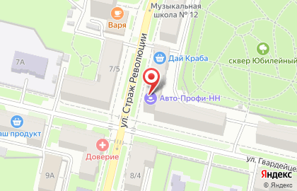 Автошкола Авто-Профи-НН на улице Страж Революции на карте
