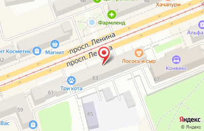 Клининговая компания Енот Полоскун на проспекте Ленина на карте