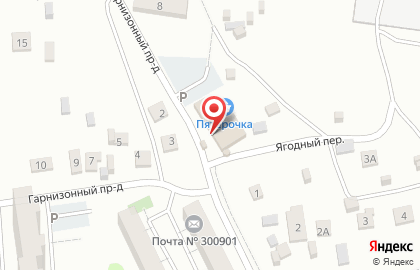 Дискаунтер Пятёрочка в Зареченском районе на карте
