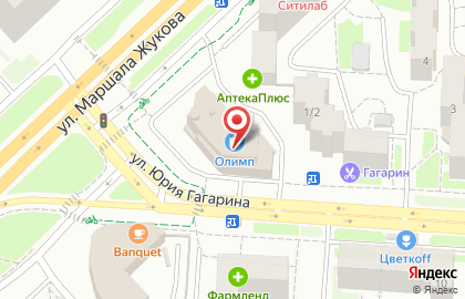Сабантуй на улице Юрия Гагарина на карте