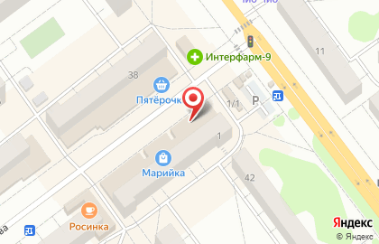 Магазин зоотоваров Томас на улице Васильева на карте