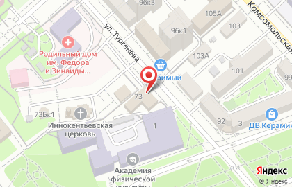 Центр проката автотранспорта и заказа автомобилей с аукциона Интегра Моторс на улице Тургенева на карте
