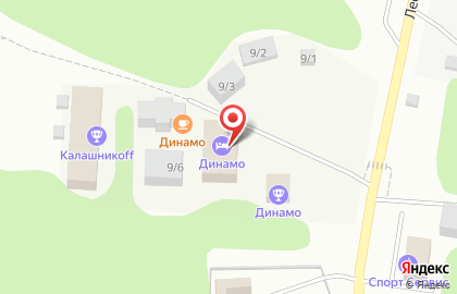 Гостиница Динамо на Лесопарковой улице на карте