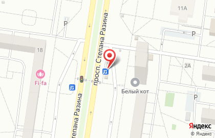 Цветы от Светланы Антохиной на Степана Разина на карте