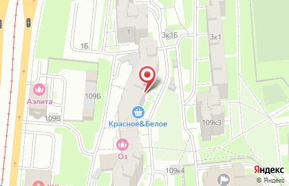 Зоосалон спбдог на карте