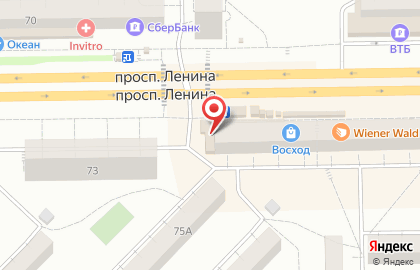 Продовольственный магазин на проспекте Ленина на карте