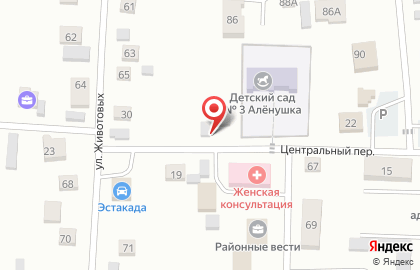 Продуктовый магазин Бекон в Центральном переулке на карте