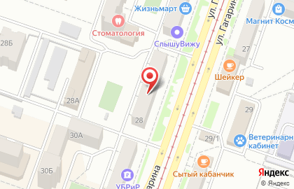 Сеть супермаркетов цифровой техники ДНС на улице Гагарина на карте