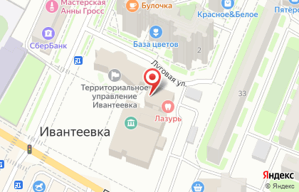 Лечебно-диагностический центр Ивантеевский на карте
