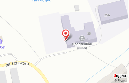 ДЮСШ им. А.Г. Кизима на карте