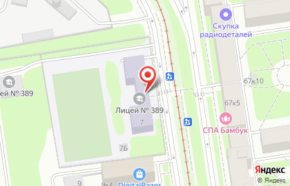 Лицей №389, Кировский район на карте