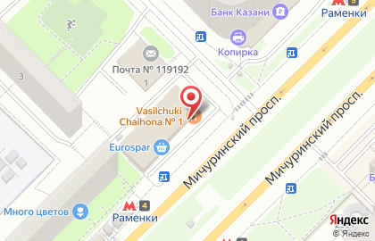 Салон оптики Мед-Оптика на Мичуринском проспекте на карте