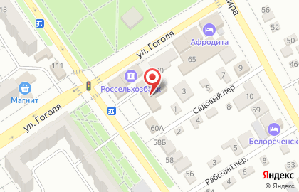 Городской парк культуры и отдыха на улице Ленина на карте