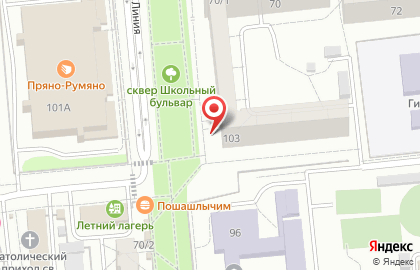 Академия развития интеллекта в Центральном районе на карте