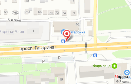 Торговая компания Цветочный рай на проспекте Гагарина на карте