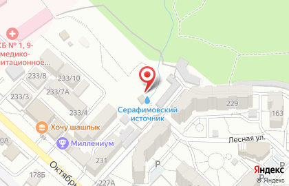 Храм Преподобного Серафима Саровского Чудотворца на карте