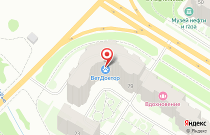 Бюро ритуальных услуг Память на проспекте Ленина на карте
