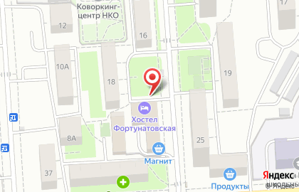 Общежитие Дом197 на метро Партизанская на карте