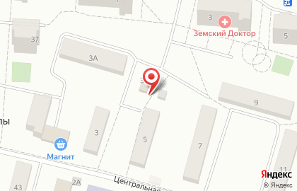 Кадастровый инженер Селиванова К.В. на Центральной улице на карте