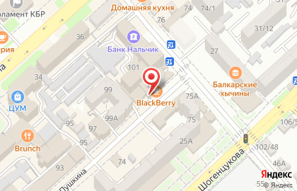 Федеральная сеть магазинов экипировки и снаряжения БлокПОСТ на улице Пушкина на карте
