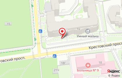 Центр ремонта квартир на Крестовском проспекте на карте