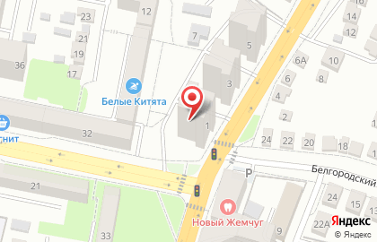 Страховое агентство на Калинина на карте