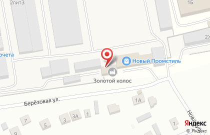 Торгово-производственная компания Золотой колос на Новой улице на карте