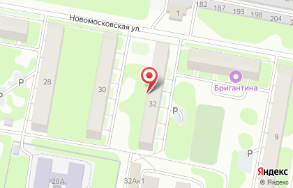 Растяпино на Новомосковской улице на карте