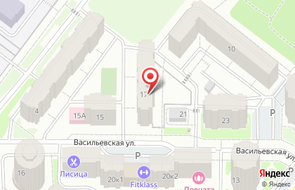 Шереметьевские горки, ООО Триумф на Васильевском проезде на карте