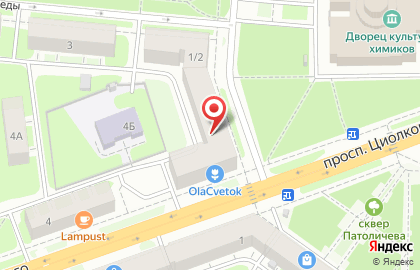 Кенгуренок на проспекте Циолковского на карте