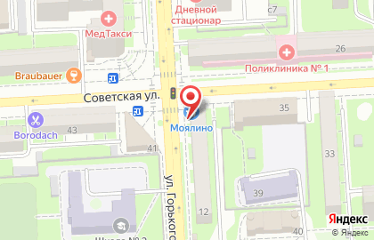 Мясной магазин Моялино на улице М.Горького на карте