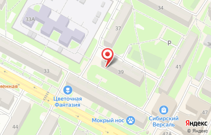 Торгово-оптовая медицинская компания Диалар на карте