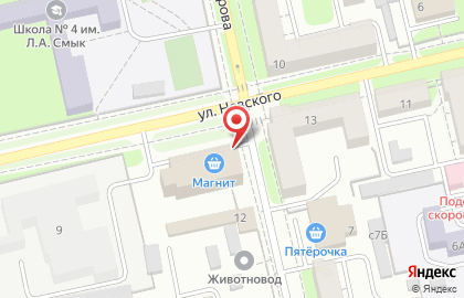 Янтарь на улице Невского на карте