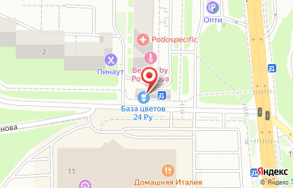 Салон цветов База Цветов 24 на улице Композитора Касьянова на карте