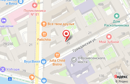 Пирогоф на Вознесенском проспекте на карте
