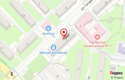 Магазин хозяйственных товаров Домовенок на улице Гагарина на карте