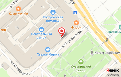 Аптека Антей в Костроме на карте