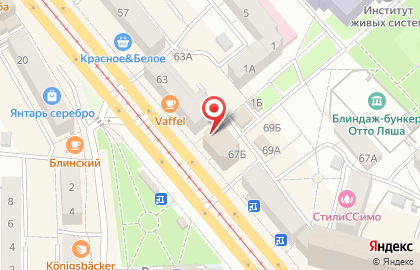 Гусев Молоко в Ленинском на карте